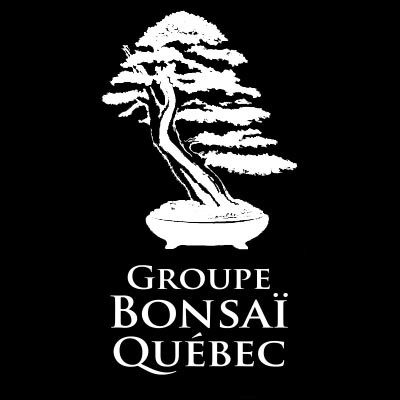 Bonsai - Logo